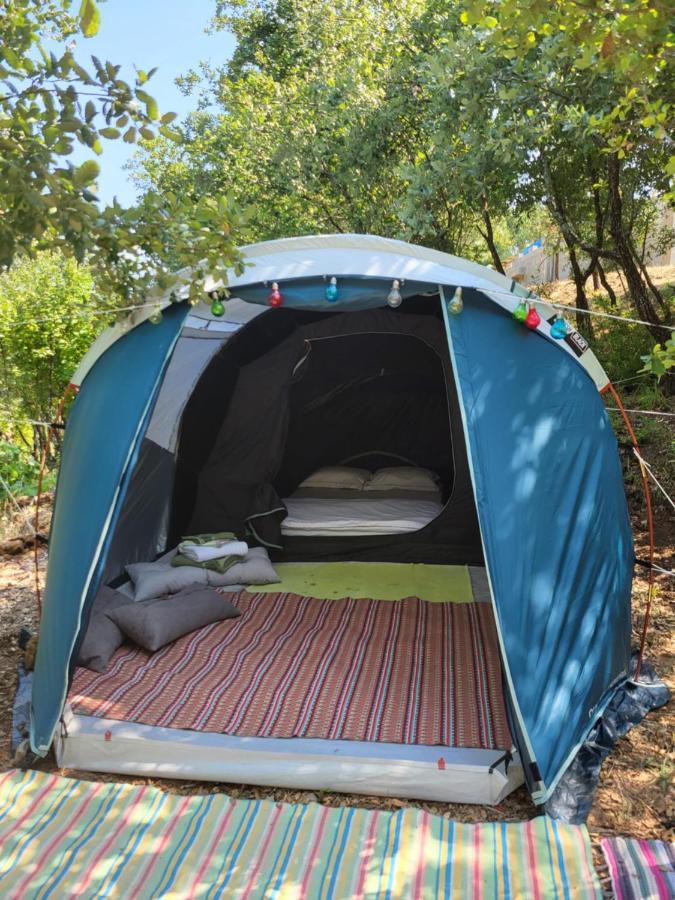 מלון טומאר Quinta Da Choupana מראה חיצוני תמונה