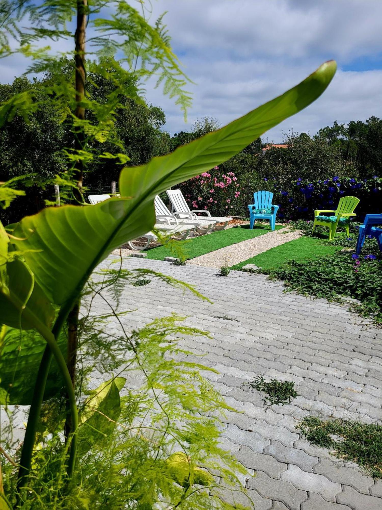 מלון טומאר Quinta Da Choupana מראה חיצוני תמונה