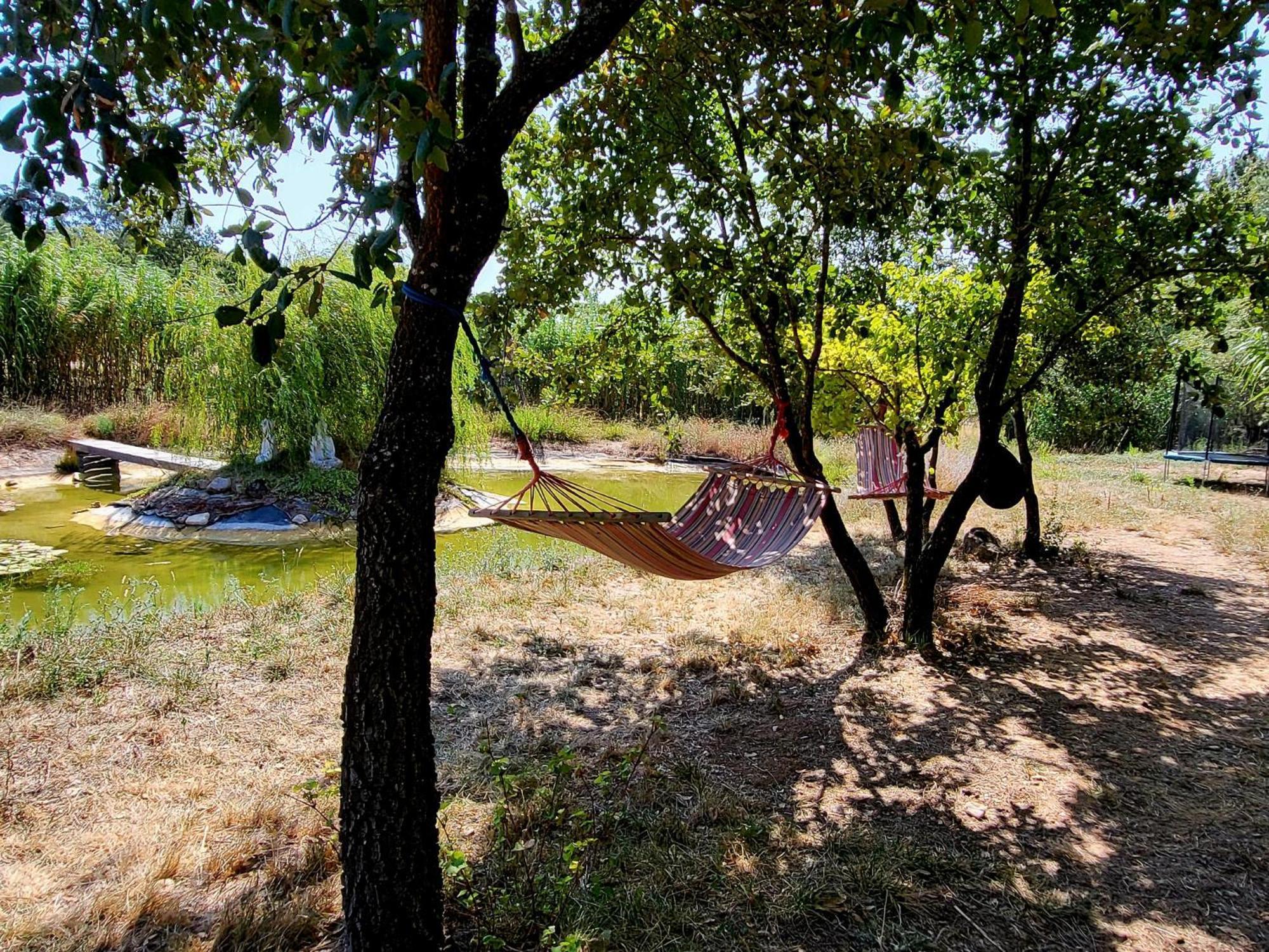 מלון טומאר Quinta Da Choupana מראה חיצוני תמונה